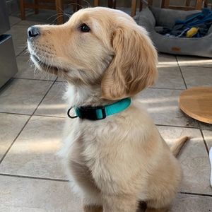 Meet your Posher, Daniel